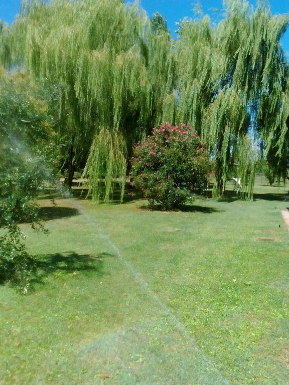 Agriturismo I Bosconi Чезена Екстериор снимка